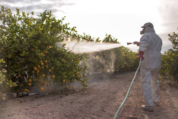 Best Local Pest Control Services  in Apalachicola, FL