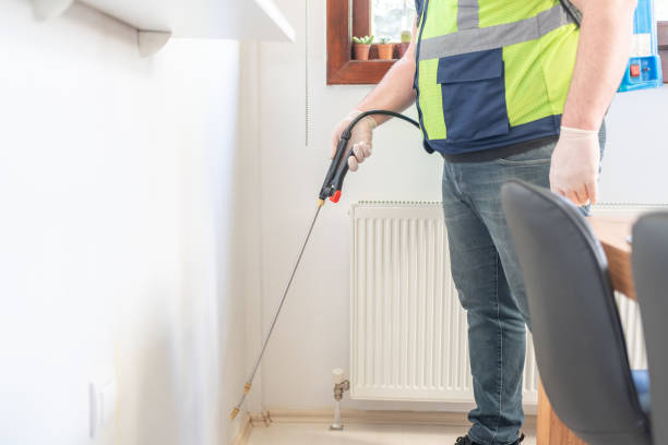 Best Wasp Removal Services  in Apalachicola, FL