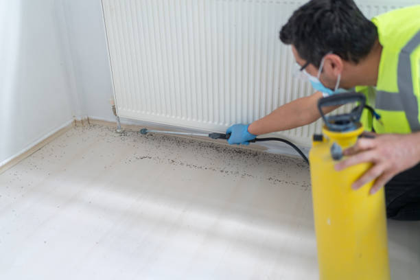 Pest Control Cost in Apalachicola, FL